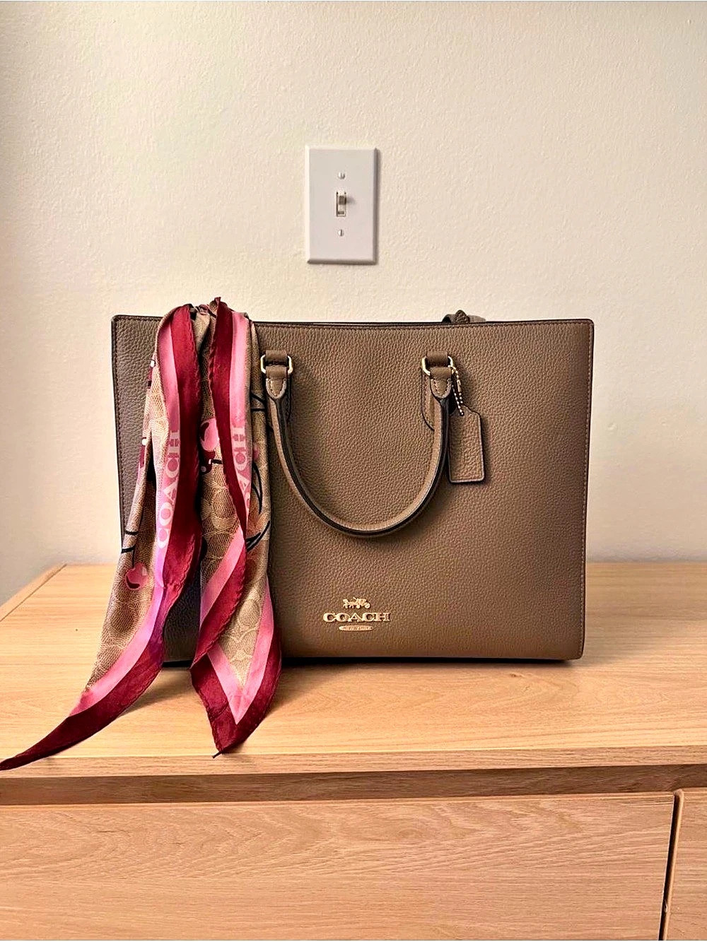 Coach Maggie Tote Bag